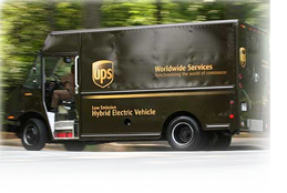 Free Shipping
